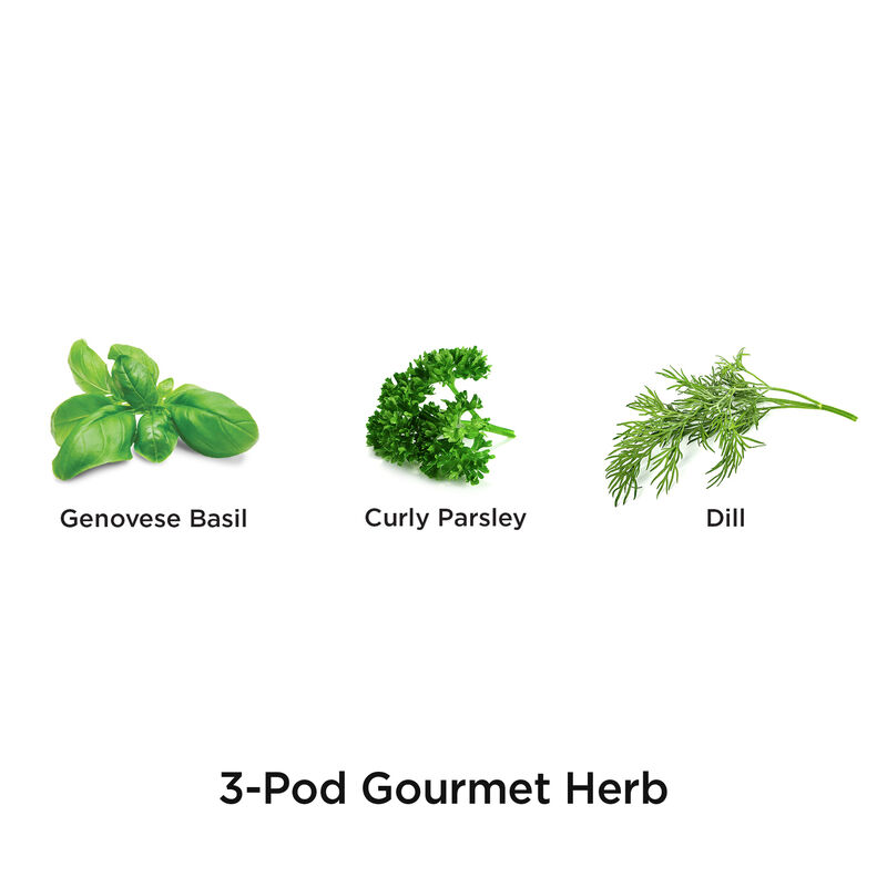 Gourmet Herbs Seed Pod Kit image number null